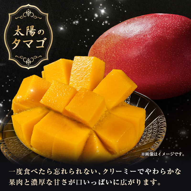 【令和8年発送 先行予約】完熟マンゴー「太陽のタマゴ」 3L×2玉（フルーツ マンゴー 完熟マンゴー アップルマンゴー 果物 くだもの 先行受付）