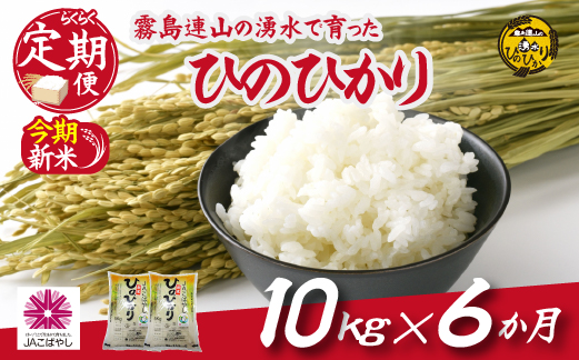 【お米の定期便／６か月コース】霧島連山の湧水ヒノヒカリ10kg（定期便 国産 米 新米 令和６年新米 精米済み 送料無料）