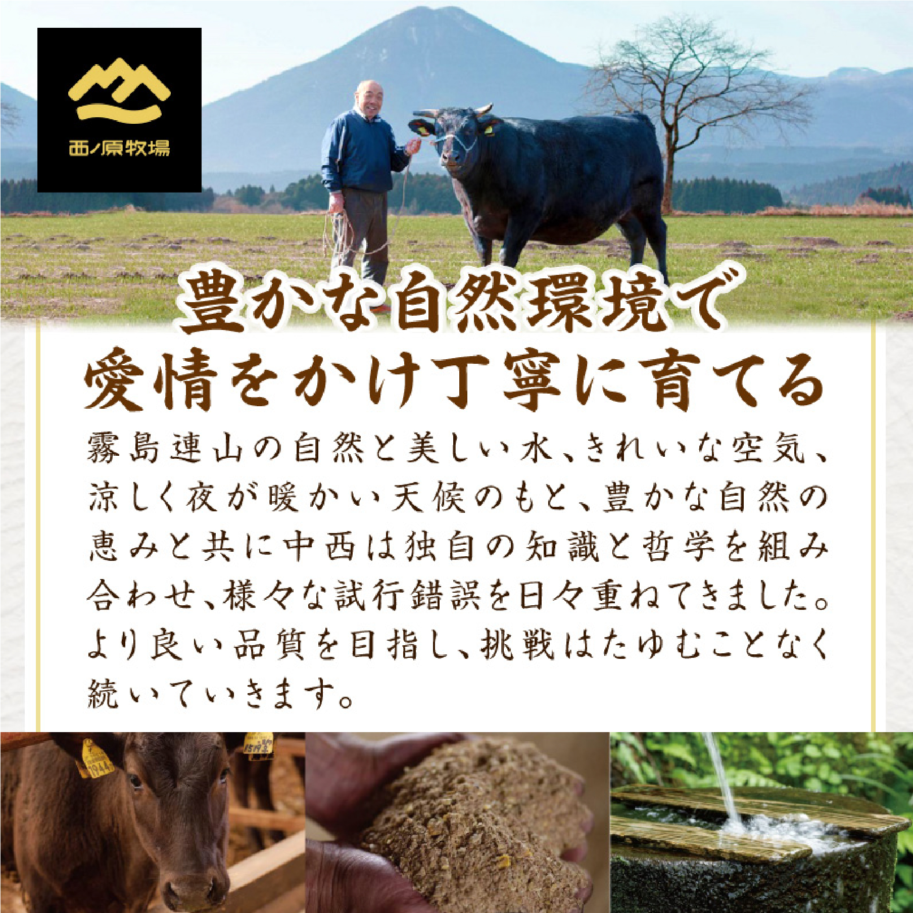 宮崎県西ノ原牧場・なかにし和牛カルビ焼肉 1.2kg（国産 牛肉 肉 黒毛和牛 赤身 霜降り お肉 なかにし和牛 焼肉用 人気）