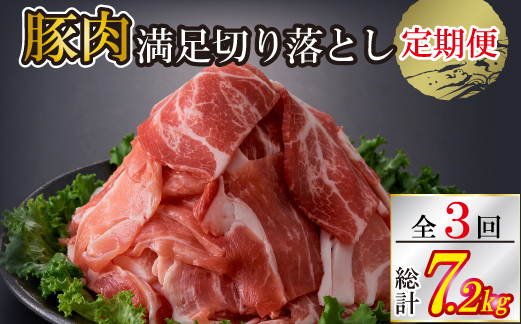 【定期便・全3回】九州産 豚肉満足 切り落とし 定期便（豚肉 切り落とし 小間切れ 定期便）