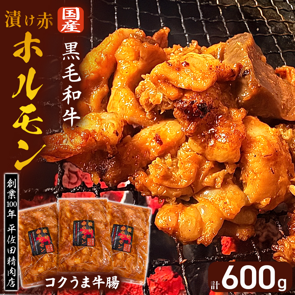 貍ャ縺題オ、繝帙Ν繝「繝ウ 繧ウ繧ッ縺縺セ迚幄ク 600gシ育┥閧 BBQ 莠コ豌 繝帙Ν繝「繝ウ 繝帙Ν繝「繝ウ辟シ縺 繝帙Ν繝「繝ウ閧 蜻ウ莉倥″繝帙Ν繝「繝ウ 蜻ウ莉倥¢繝帙Ν繝「繝ウ 蜻ウ莉倥″閧 縺サ繧九b繧 辟シ閧臥畑繝帙Ν繝「繝ウ 蜀キ蜃阪帙Ν繝「繝ウシ