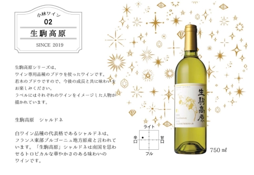 【高原の白ワイン】シャルドネ（辛口）　1ダース
