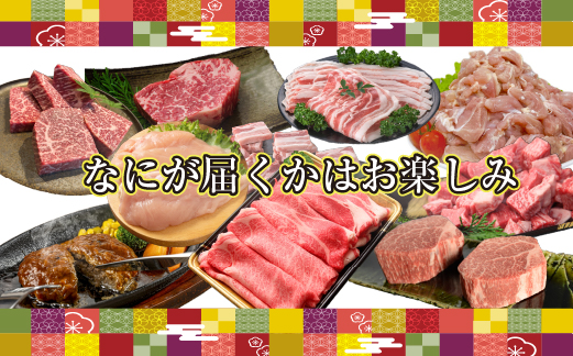 【定期便・全12回】新春おたのしみ お年玉コース 金金（牛肉 豚肉 鶏肉 フルーツ 2025 スイーツ 先行予約 定期便 宮崎 小林市）