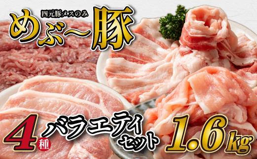 	【地元ブランド豚】"めぶ～豚" 4種バラエティパック 計1.6kg（豚肉 豚 豚バラ とんかつ用 切り落とし こま切れ ミンチ 小分け）