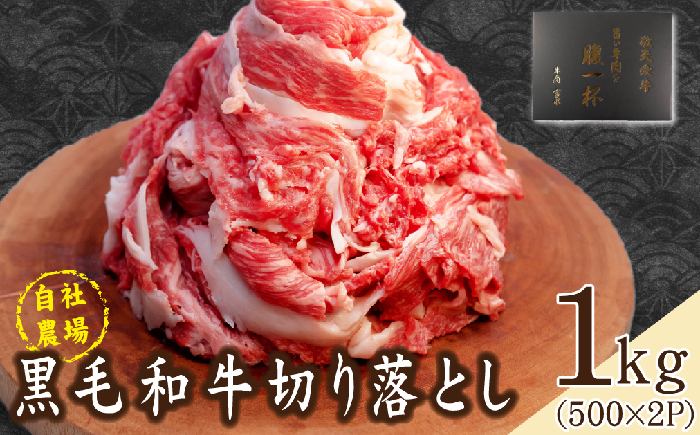 【自社農場和牛】黒毛和牛 切り落とし1kg（黒毛和牛 牛肉 切り落とし 切落し 訳あり 赤身 霜降り）