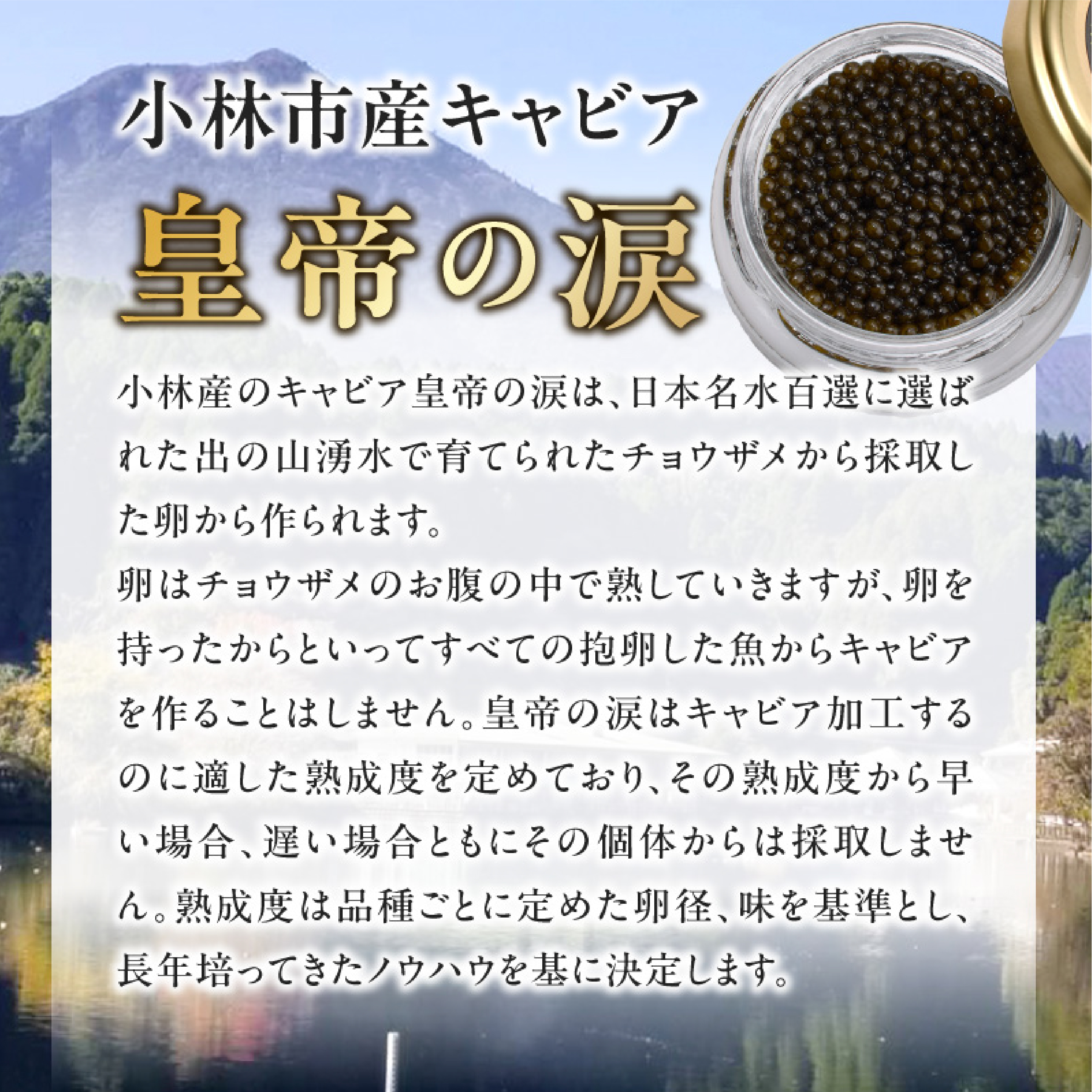 【純国産キャビア】皇帝の涙 2種食べ比べセット 40g 国産 キャビア チョウザメ 宮崎 小林市 食べ比べ