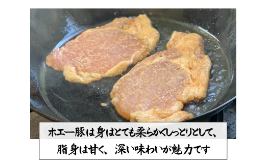 宮崎県産ホエー豚味噌漬け＆ローストンテキセット 計8枚（豚肉 豚 味噌漬け みそ ロース トンテキ用 小分け 惣菜）