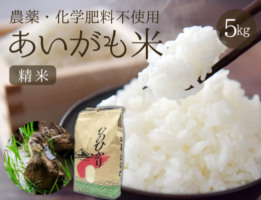 【安心安全！合鴨農法】あいがも米（精米済みヒノヒカリ）　5kg