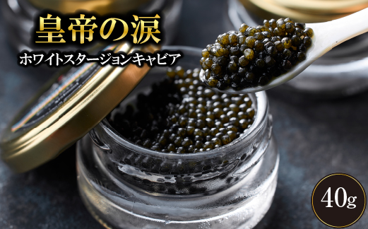 	【年末限定受付！】ホワイトスタージョンキャビア 40g 皇帝の涙 国産 チョウザメ 魚卵 宮崎県 宮崎 小林市