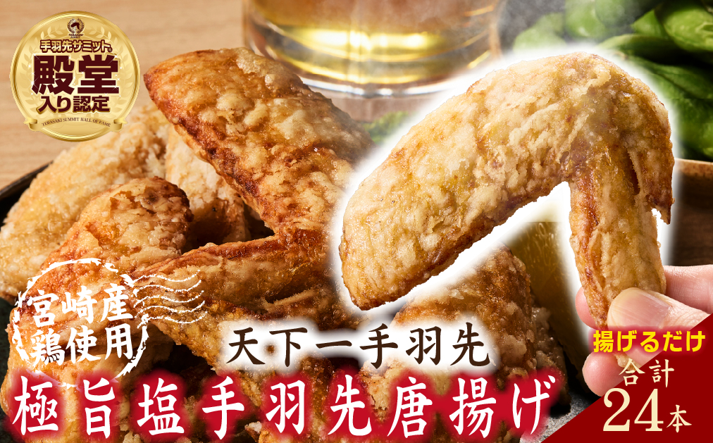 【手羽先サミット殿堂入り！】極旨塩 手羽先 唐揚げ 24本（国産 鶏肉 手羽 手羽先 唐揚げ 塩 味付き 限定 冷凍）