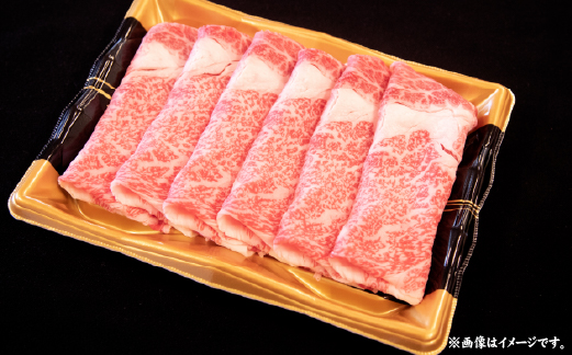 【A4等級以上】宮崎牛肩ロースしゃぶしゃぶ用 500g（国産 牛肉 宮崎牛 黒毛和牛 ロース しゃぶしゃぶ 霜降り 赤身 人気）