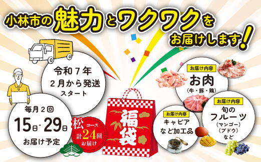 【定期便・全24回】新春おたのしみ 福袋 松（牛肉 豚肉 鶏肉 果物 フルーツ 2025 限定 定期便 先行予約 宮崎 小林市）