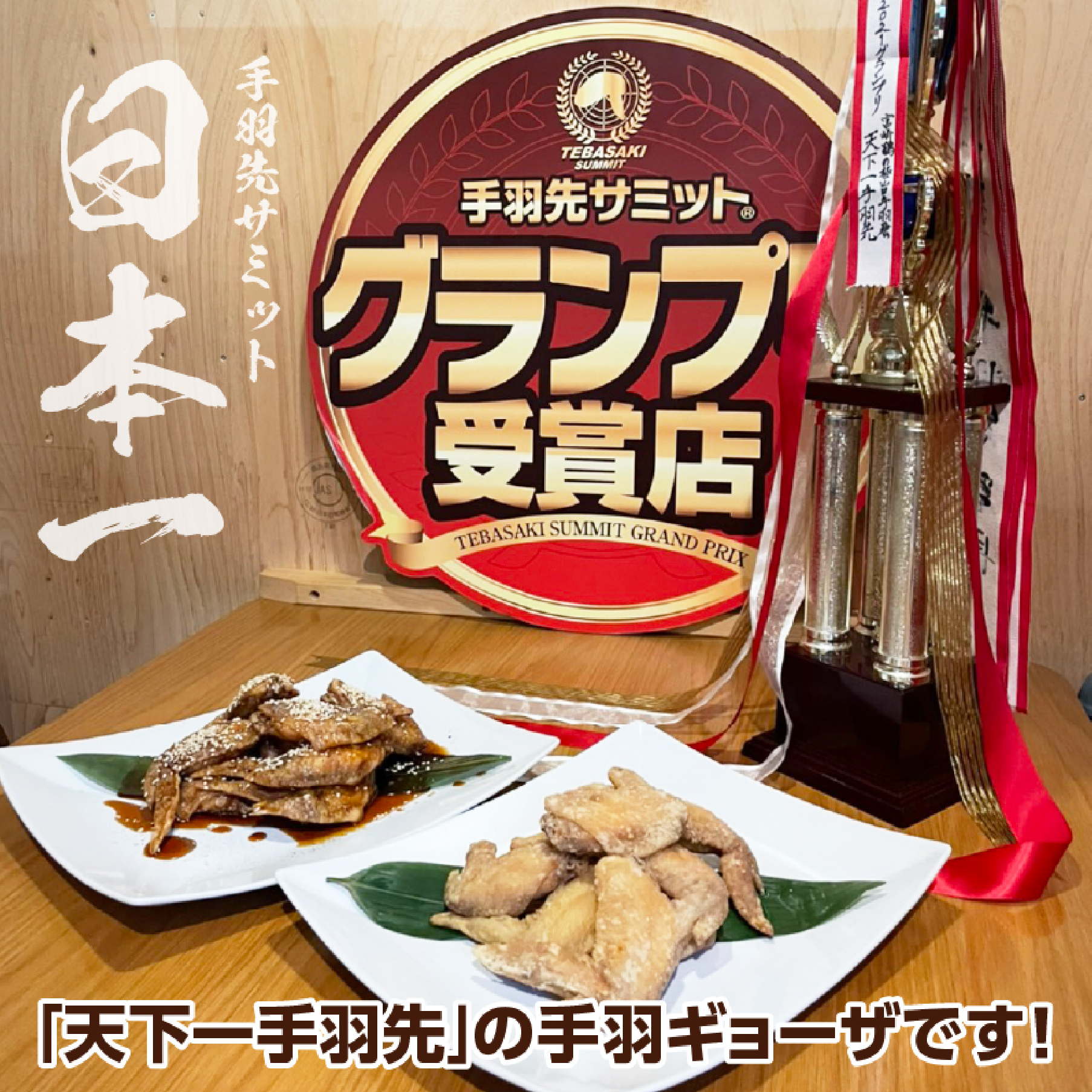 【6月1日～寄付額変更】【手羽先サミット殿堂入り！】手羽ギョーザ 18本（国産 鶏肉 手羽先 餃子 ギョウザ 唐揚げ 金賞 人気）