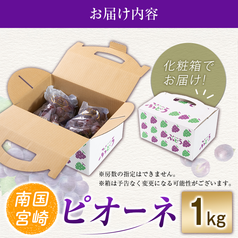 【令和8年発送 先行予約】小林市産 ピオーネ 1kg（ぶどう ブドウ ピオーネ フルーツ 果物 くだもの 先行受付 限定）