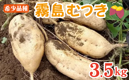 【希少品種】小林市産さつまいも「霧島むつき」3.5kg（さつま芋 希少 旬 訳あり 家庭用 焼き芋 大学いも お菓子）