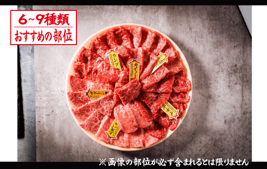 【自社農場和牛】富永和牛おうちで焼肉ボリュームセット（黒毛和牛 国産 牛肉 和牛 赤身 霜降り 焼肉 BBQ 限定）