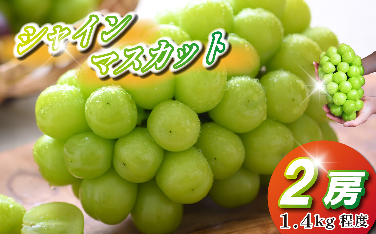 【観光農園直送!】シャインマスカット 2房 1.4kg程度(ぶどう ブドウ マスカット フルーツ 果物)