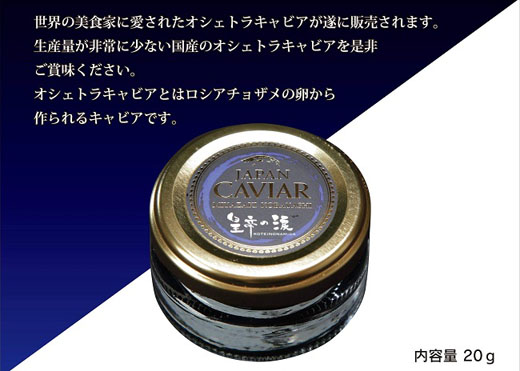 ãçŽåœç£ãã£ãã¢ããªã·ã§ãã©ãã£ã㢠20g çåžã®æ¶ åœç£ ãã§ãŠã¶ã¡ éåµ å®®åŽç