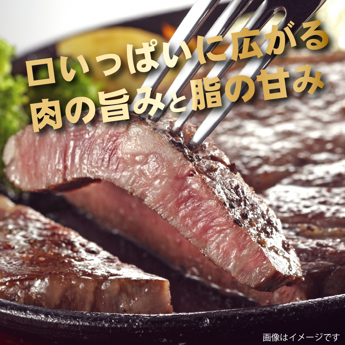 【新鮮チルド発送!!】A5等級宮崎牛特選サーロインステーキ 4枚 800g（黒毛和牛 牛肉 宮崎牛 A5 ステーキ サーロイン 焼肉 宮崎県）