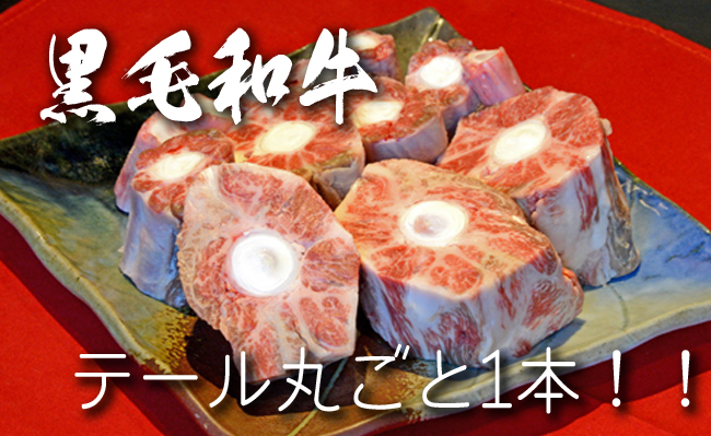 【黒毛和牛専門店直送】黒毛和牛テール 1本 約1kg（国産 牛肉 和牛 テール 希少部位 ビーフシチュー） 