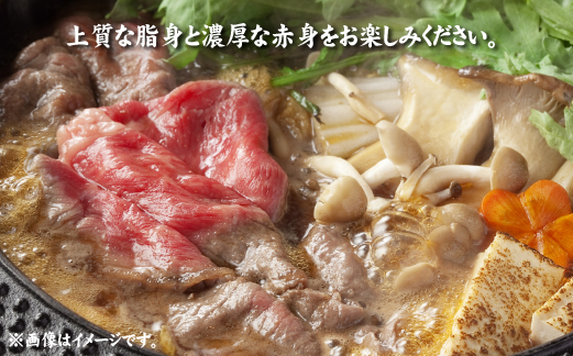 【A4等級以上】宮崎牛肩ロースすき焼き用 500g（国産 牛肉 宮崎牛 黒毛和牛 ロース すき焼き 霜降り 赤身 人気）