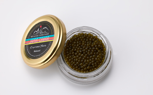 ãçŽåœç£ãã£ãã¢ããªã·ã§ãã©ãã£ã㢠20g çåžã®æ¶ åœç£ ãã§ãŠã¶ã¡ éåµ å®®åŽç