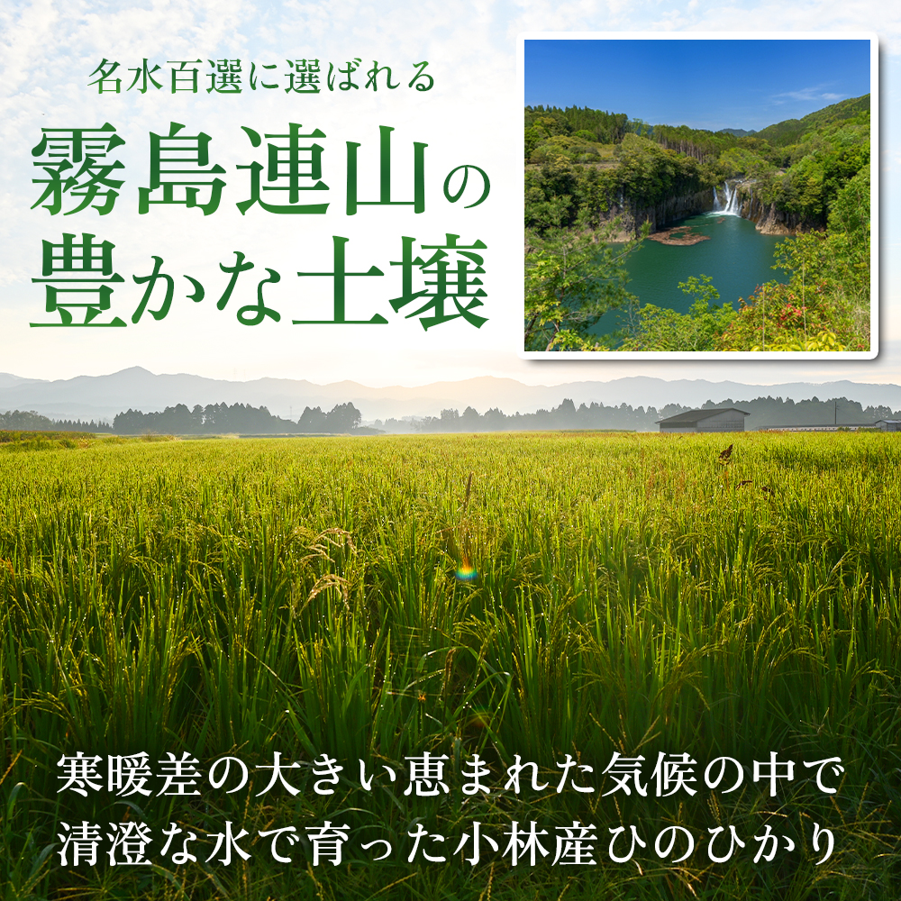 【定期便 全3回】【令和7年産米】無洗米ヒノヒカリ 10kg×3回 お米 米 新米 ヒノヒカリ 無洗米 国産 人気 お弁当 宮崎県 小林市