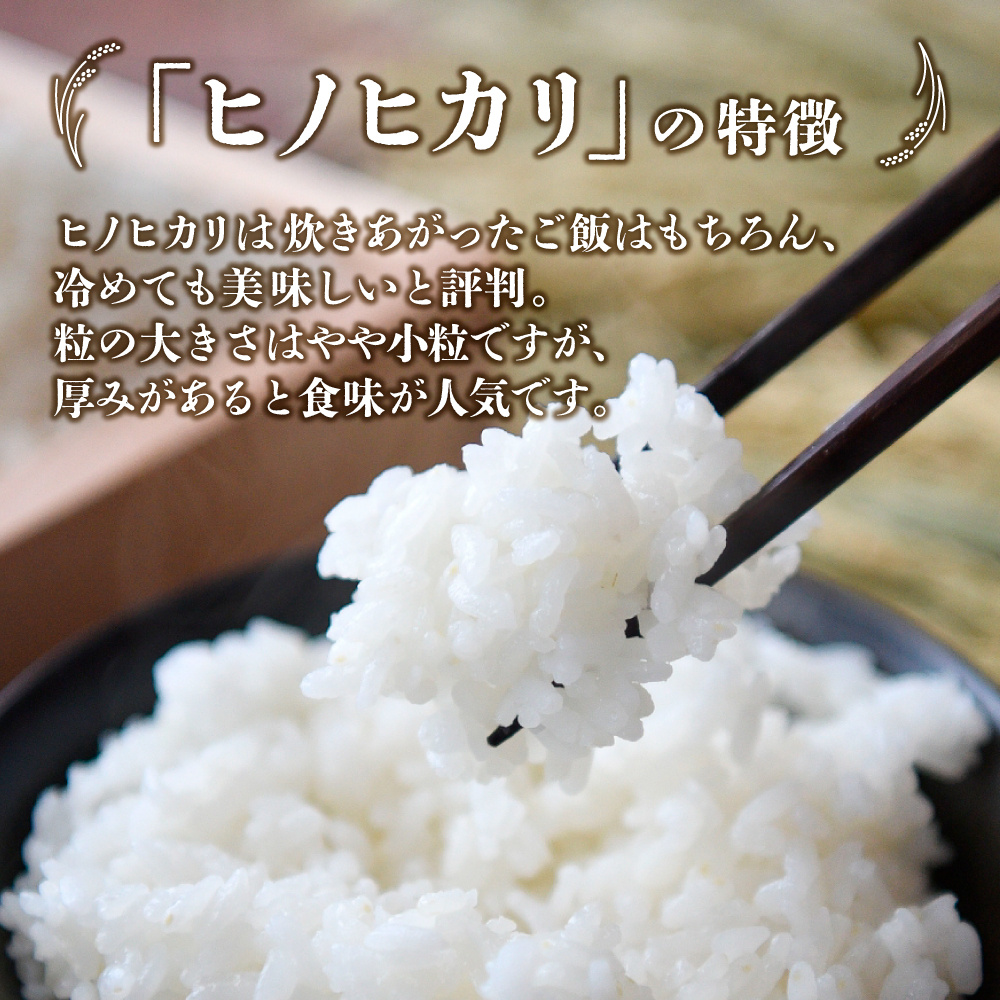 【令和7年産米】ヒノヒカリ 20kg（5kg×4袋 国産 米 お米 精米 令和7年産 ひのひかり 小分け 数量限定）