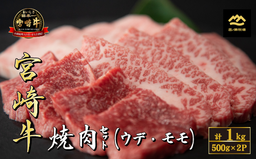 【A4等級以上】宮崎牛おためし焼肉 500g×2P（国産 牛肉 肉 宮崎牛 黒毛和牛 赤身 モモ ウデ 焼肉 人気 特別提供）