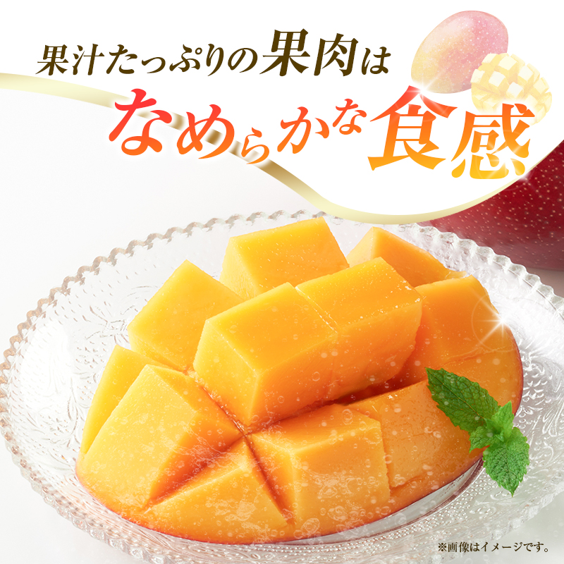 【令和8年発送 先行予約】完熟マンゴー 3L×2玉（フルーツ マンゴー 完熟マンゴー アップルマンゴー 果物 くだもの 先行受付）