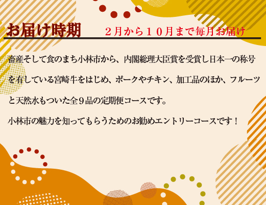 【定期便・全9回】日本一宮崎牛と小林市の魅力満載！！ 小林満足おためし定期便 10万円コース（国産 牛肉 国産牛 和牛 黒毛和牛 すき焼き フルーツ お菓子 豚肉 鶏肉 天然水 定期便）