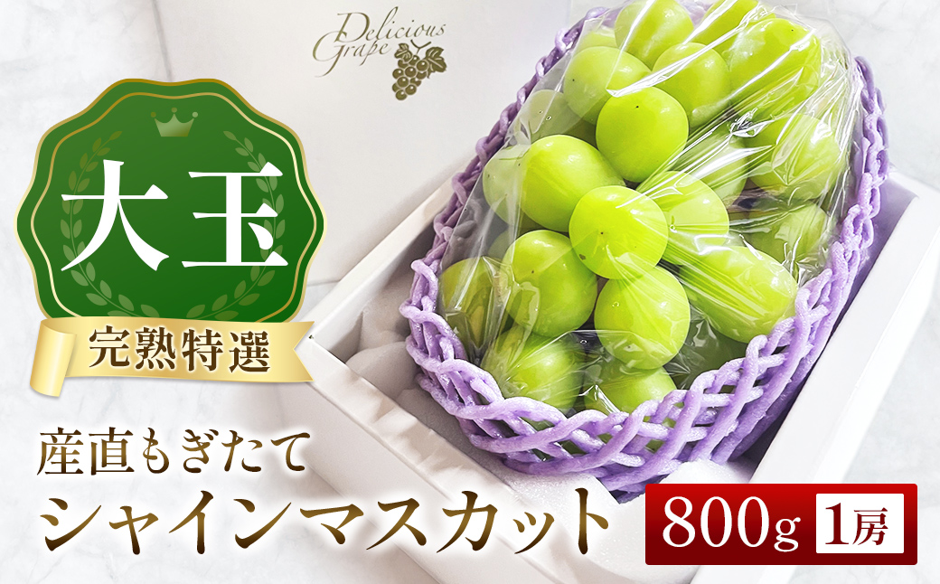 【令和8年発送・先行予約】大玉 特選 シャインマスカット 800g（ぶどう ブドウ シャインマスカット シャイン マスカット フルーツ 果物 くだもの 旬 先行受付 2026 産地直送 限定）