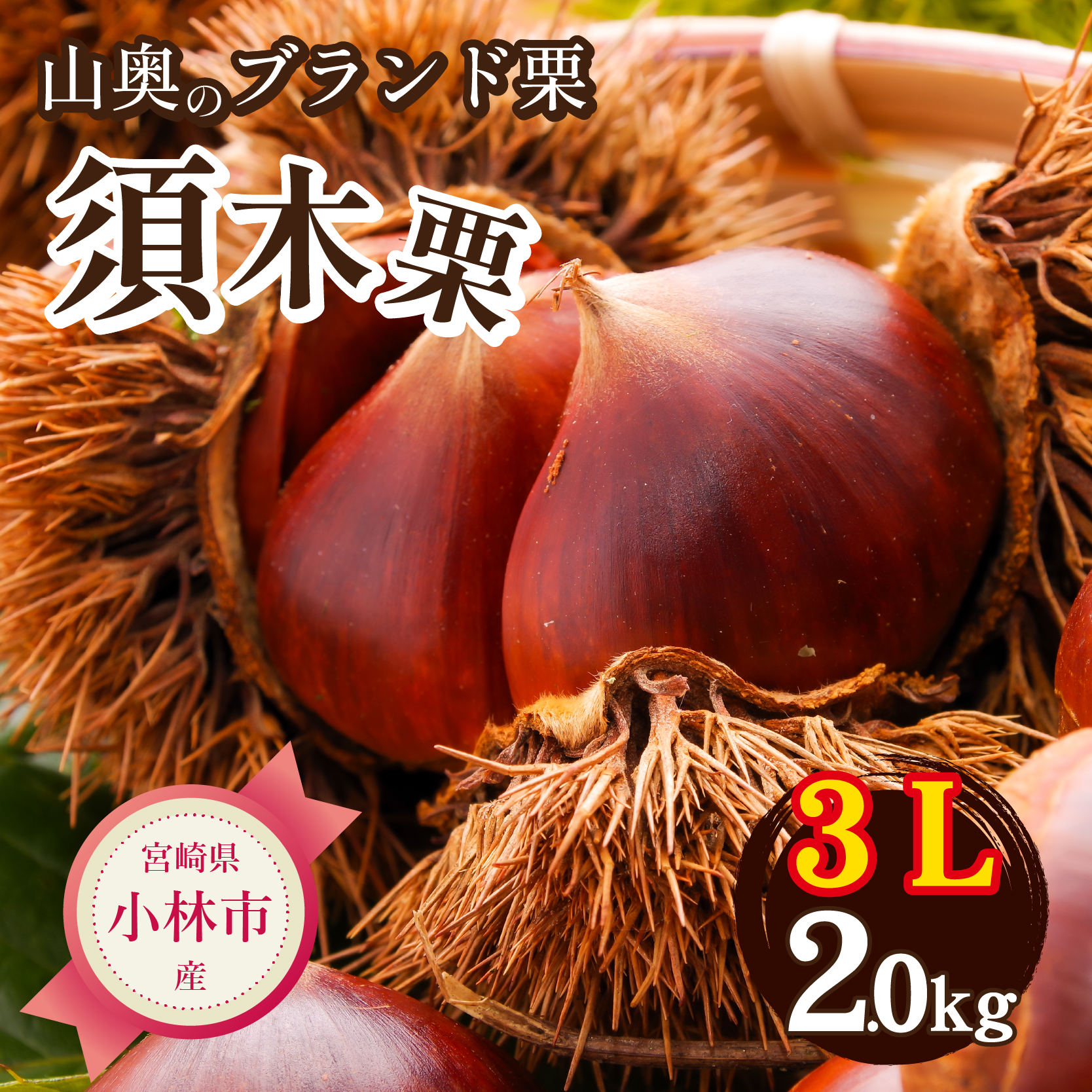 【山奥のブランド栗】大粒すきすき須木栗 3L サイズ以上 2kg（生栗 マロン くり 甘露煮 栗ご飯 限定）