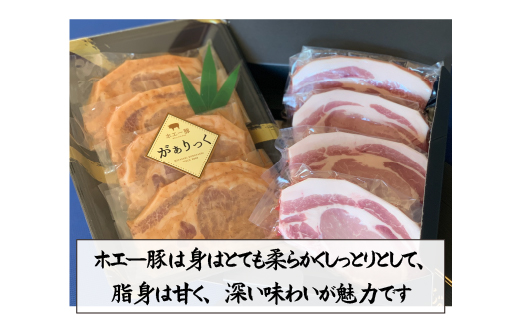 宮崎県産ホエー豚味噌漬け＆ロースとんかつセット 計8枚（豚肉 豚 ロース 味噌漬け みそ トンカツ とんかつ用 小分け）