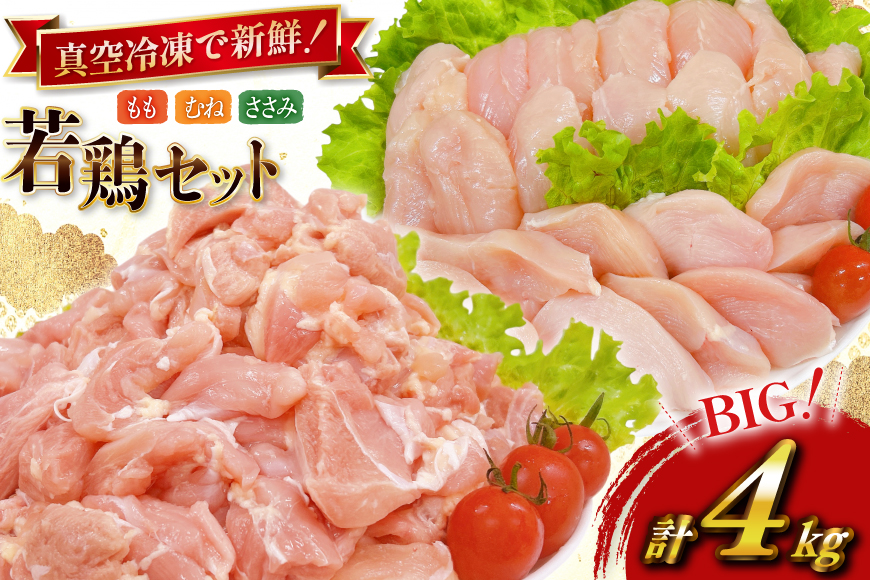 鶏肉 業務用 宮崎県産 若鶏 もも切身 300g 6p むね切身 300g 4p 筋なし ささみ 250g 4p 計4kg セット [TRINITY 宮崎県 日向市 452061336] 鶏もも肉 もも肉 鶏肉もも 鶏むね肉 むね肉 ササミ 冷凍 真空パック 詰め合わせ