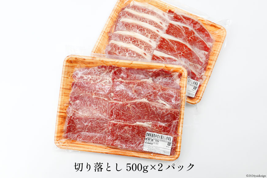 訳あり 牛肉 宮崎県産 和牛 切り落とし 500g×2p 計1kg [日本ハムマーケティング 宮崎県 日向市 452060542] 肉 牛 黒毛和牛 精肉 冷凍