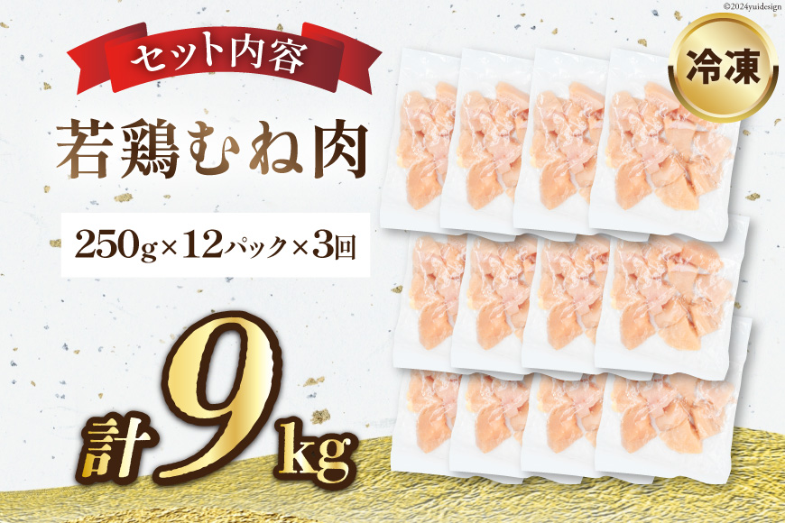 鶏肉 3回 定期便 むね 宮崎県産 若鶏 ムネ肉 250g ×12袋 計 3kg×3回 [九州児湯フーズ宮崎支店 宮崎県 日向市 452061055] 小分け 冷凍 むね肉 国産