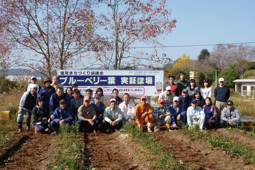 お茶 美笑福茶 8包入り [塩見まちづくり協議会 宮崎県 日向市 452061062] ブレンド茶 煮出し ティーパック ティーバッグ 個包装 ブルーベリー へべす