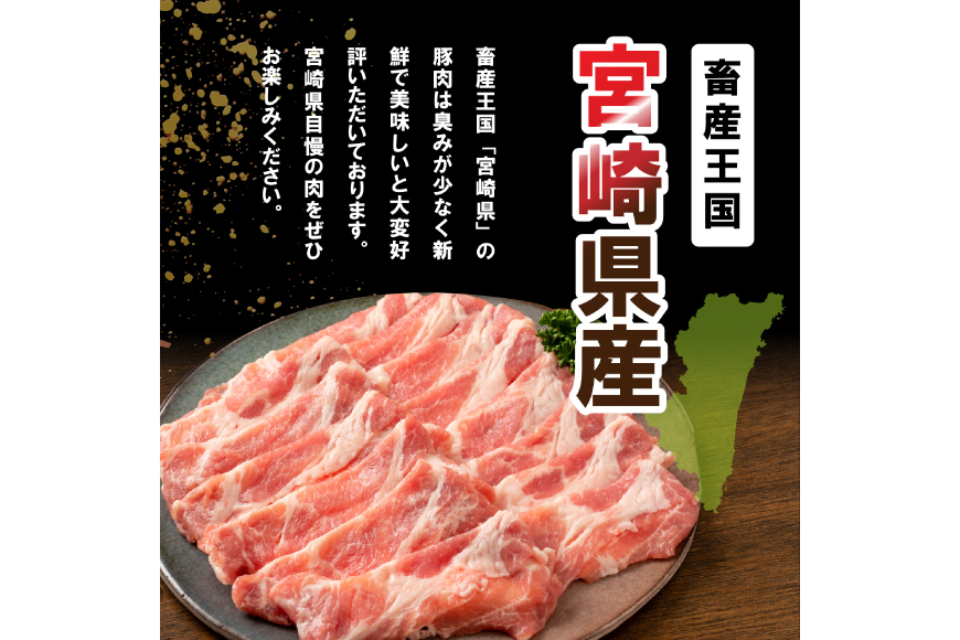 豚肉 宮崎県産豚肉 バラエティ セット 計4.5kg [南九フーズ 宮崎県 日向市 452061538] こま ミンチ 挽肉 ロース とんかつ しゃぶしゃぶ 生姜焼き 小分け