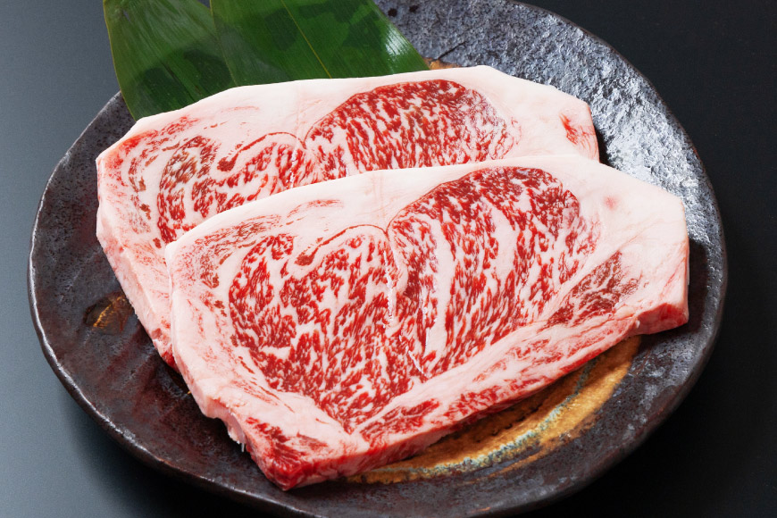 牛肉 黒毛和牛 宮崎産 サーロインステーキ(250g×2枚) 計500g [ウィズ・クリエイティブ 宮崎県 日向市 452060801] 和牛 肉 ステーキ サーロイン 冷凍 真空パック