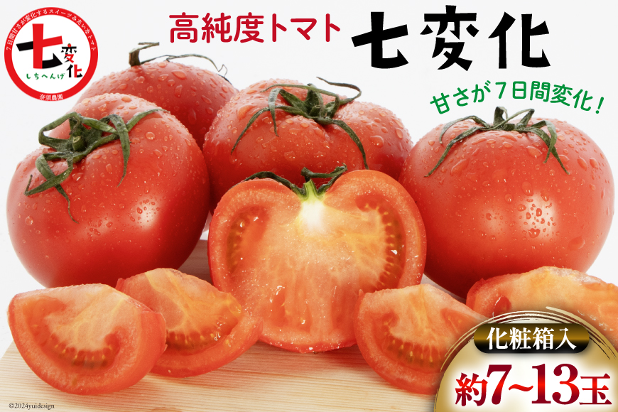 【期間限定発送】 トマト こだわりのホントに美味しい 高糖度トマト 7～13玉 化粧箱入り [奈須農園 宮崎県 日向市 452060935] 野菜 とまと ソプラノ 高糖度 甘い 産地直送 贈答用