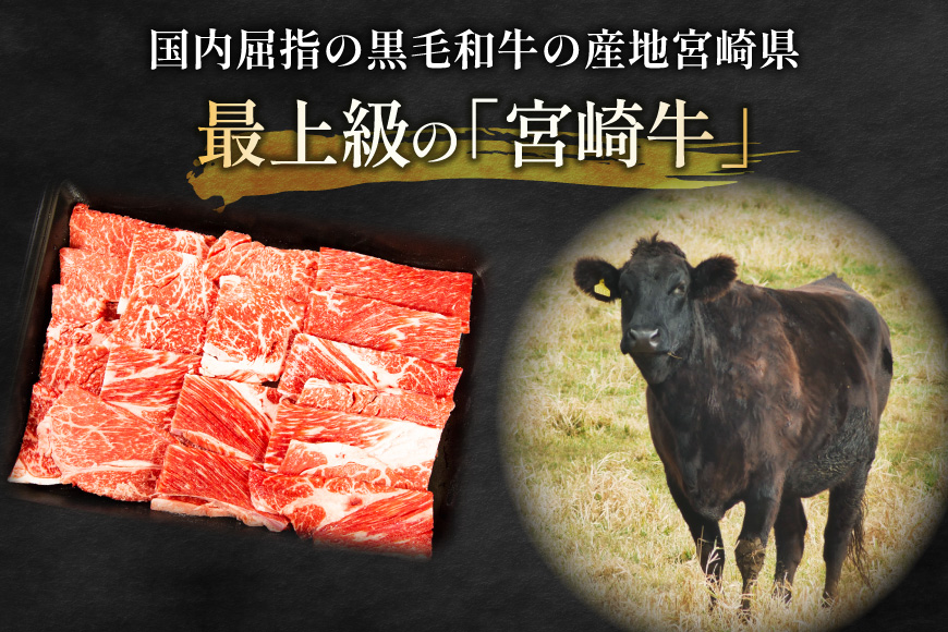 【畜産農家応援】 牛肉 焼肉 宮崎牛 ウデ 焼肉用 500g [ ミヤチク 宮崎県 日向市 452061598] 冷凍 内閣総理大臣賞 焼き肉 牛ウデ ウデ肉 黒毛 和牛 黒毛和牛 国産 国産牛肉 アウトドア BBQ キャンプ