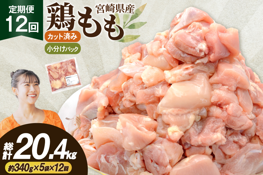 鶏肉 12回 定期便 もも 切身 340g 5袋 1.7kg 計20.4kg [南九フーズ 宮崎県 日向市 452061723] もも肉 冷凍 国産 カット 小分け ふるさと納税 鶏 とり肉 鳥肉 鶏もも 鶏もも肉 モモ 真空包装 個包装 お弁当 時短 カット済 定期 宮崎 宮崎県産 夕飯