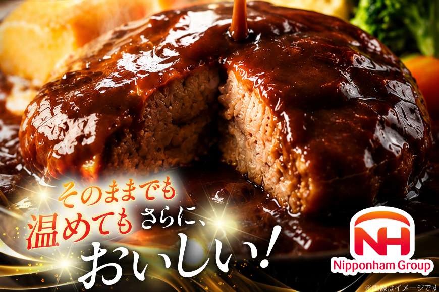 ハンバーグ 日本ハム まぼろしの味噌使用 デミグラスソース 150g 20個 [日本ハムマーケティング 宮崎県 日向市 452061707] レトルト 湯煎 レンジ 常温 小分け レトルト食品 真空 保存食 防災食 非常食 ふるさと納税 時短 簡単 肉 簡単調理 弁当 おかず 惣菜 デミグラス