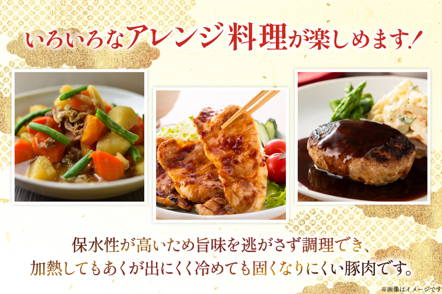 豚肉 宮崎県産豚肉 4.2kg 詰め合わせ セット [TRINITY 宮崎県 日向市 452061326] 小分け 豚 肉 宮崎 ロース スライス 豚バラ とんかつ 切り落とし ミンチ 豚ミンチ ひき肉 真空パック