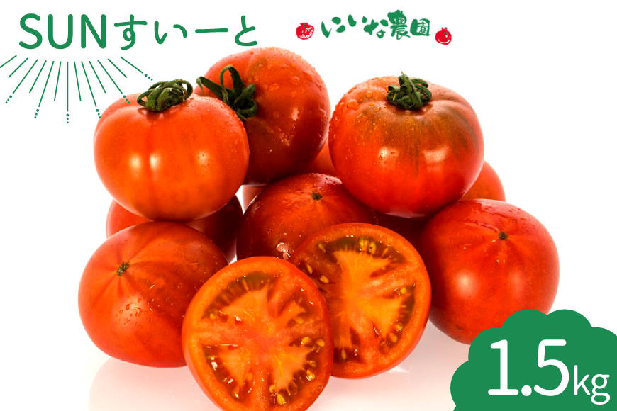 【期間限定発送】 トマト SUNすいーと 1.5kg×1箱 [にいな農園 宮崎県 日向市 452060918] 野菜 フルーツトマト 高糖度 甘い