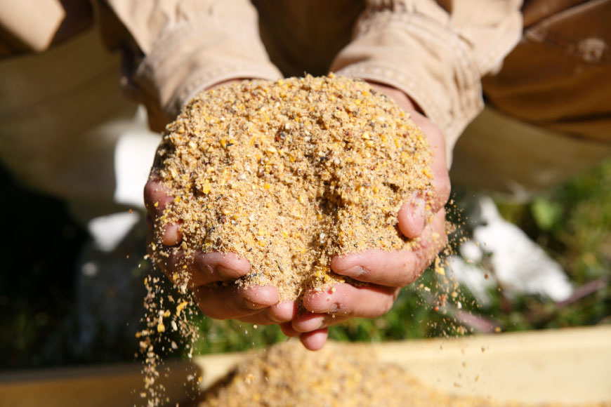 鶏肉 小分け 宮崎県産 ブランド鶏 夢創鶏 もも むね 切身 セット 200g 5p 2種 計2kg [英楽 宮崎県 日向市 452061148] むね肉 もも肉 ムネ モモ 鶏