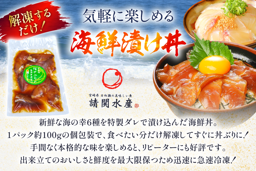海鮮丼 6種の贅沢食べ比べ丼 1p約100g 6p 真空パック [請関水産 宮崎県 日向市 452061435] 海鮮丼の具 海鮮 海鮮丼セット 食べ比べ 丼 冷凍 ギフト 漬け丼 ぶり マダイ 真鯛 かんぱち カンパチ まぐろ マグロ サーモン かつお カツオ