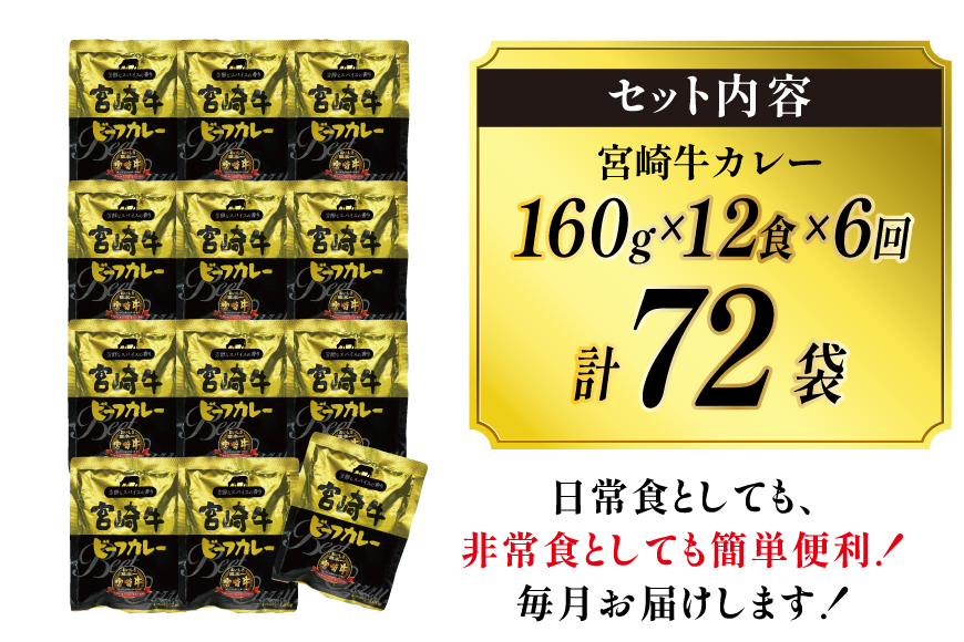 カレー 6回 定期便 レトルト 宮崎牛カレー 160g 12袋 総計72袋 [九州産商 宮崎県 日向市 452061183] 小分け ビーフカレー 宮崎 牛 常備食 保存食 中辛 宮崎牛 備蓄