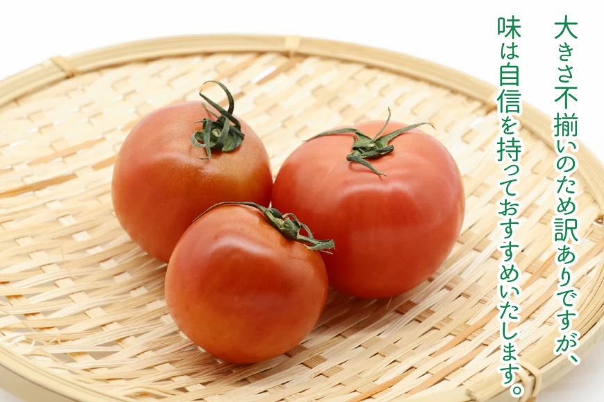 【期間限定発送】 訳あり トマト SUNすいーと 1kg×2箱 [にいな農園 宮崎県 日向市 452060917] 野菜 フルーツトマト 高糖度 甘い 不揃い 家庭用